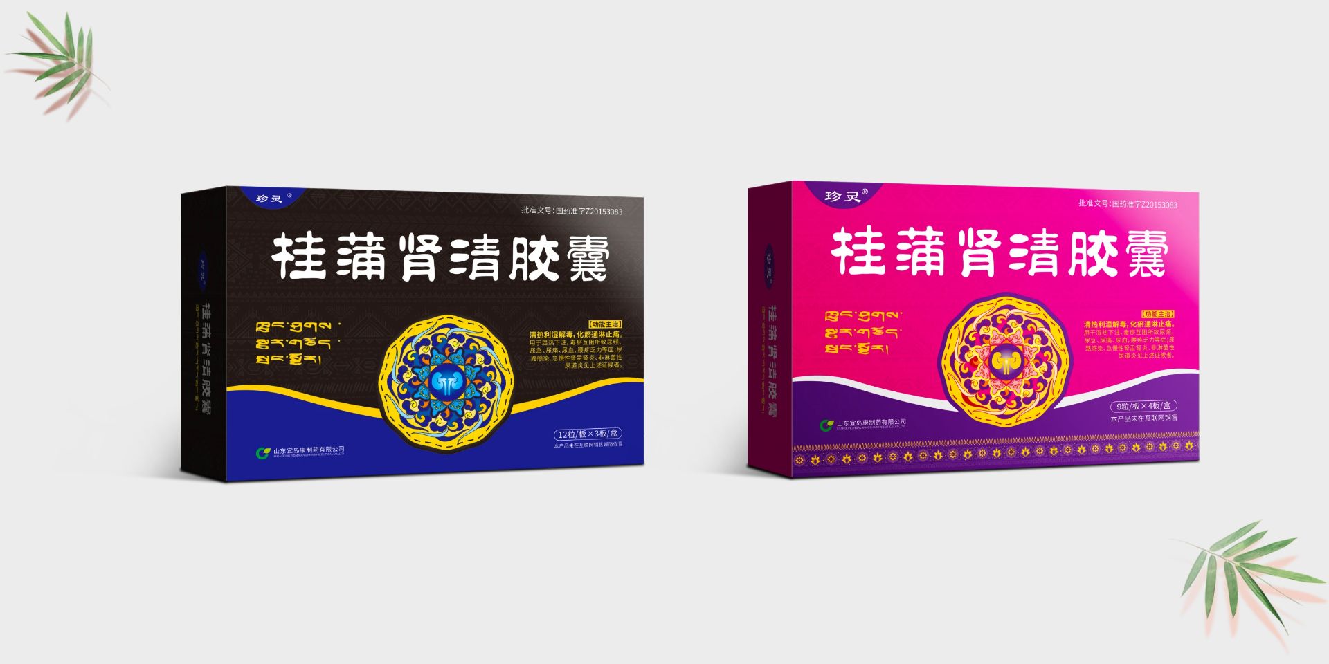 桂蒲肾清胶囊<p>GUIPUSHENQINGJIAONANG_copy